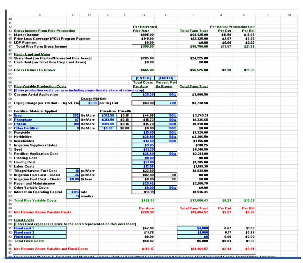 Projected 2019 Rice Farm Cash Flow Model